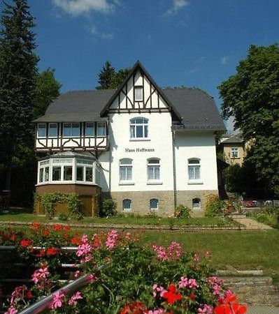 Ferienwohnung In Villa Бад-Эльстер Экстерьер фото