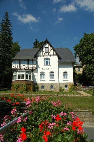 Ferienwohnung In Villa Бад-Эльстер Экстерьер фото